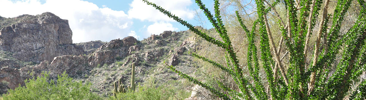 Saint Andrew's Parish in Phoenix, AZ